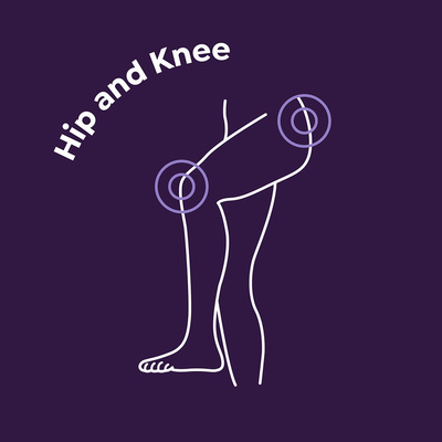 Link to: /programs/hip-and-knee